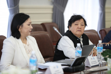 Как развивается парламентаризм: обсудили на круглом столе в Бишкеке