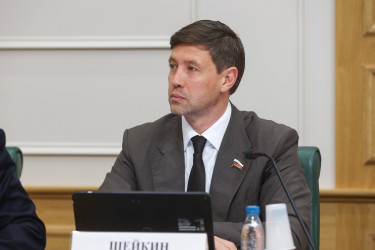 Дмитрий Кобицкий рассказал российским сенаторам о работе МПА СНГ