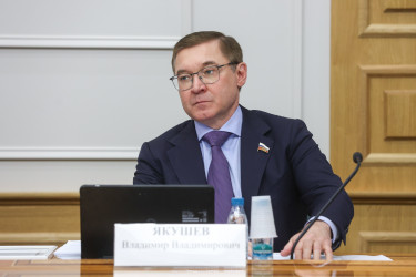 Дмитрий Кобицкий рассказал российским сенаторам о работе МПА СНГ