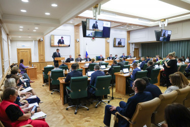 Дмитрий Кобицкий рассказал российским сенаторам о работе МПА СНГ