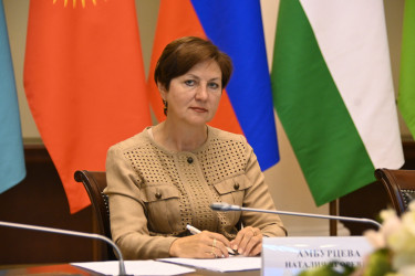Заседание Межгосударственного экологического совета стран СНГ
