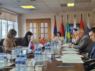 Модельные документы МПА СНГ могут быть использованы государствами ЕАЭС для регулирования миграционной политики 