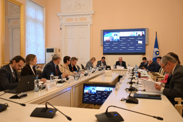 Метавселенные, цифровая валюта и трансграничное банкротство: темы заседания Экспертного совета по экономике при МПА СНГ 