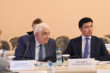 Метавселенные, цифровая валюта и трансграничное банкротство: темы заседания Экспертного совета по экономике при МПА СНГ 