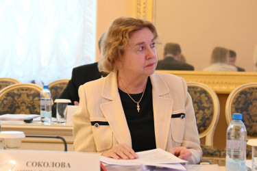 Метавселенные, цифровая валюта и трансграничное банкротство: темы заседания Экспертного совета по экономике при МПА СНГ 