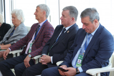 Парламентарии стран Содружества одобрили проект закона об ограничении парниковых газов