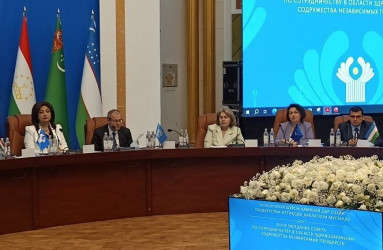 заседание Совета по сотрудничеству в области здравоохранения стран СНГ