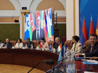 заседание Совета по сотрудничеству в области здравоохранения стран СНГ