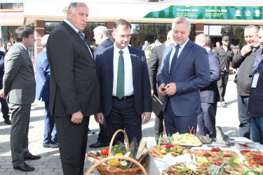 Около 1000 человек приняли участие в Горном форуме. 3 октября 2025