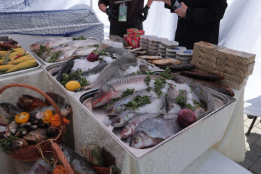 Около 1000 человек приняли участие в Горном форуме. 3 октября 2025