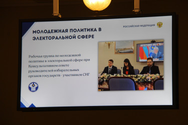 В Таврическом дворце обсудили электоральные процессы стран СНГ и Латинской Америки