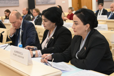Работа над Концепцией общего миграционного пространства в СНГ. 9 октября 2025