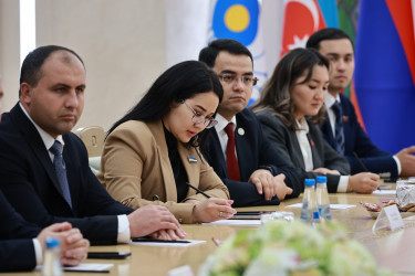 Встреча с ММПА в Совете Республики в Беларуси. 9 октября 2025