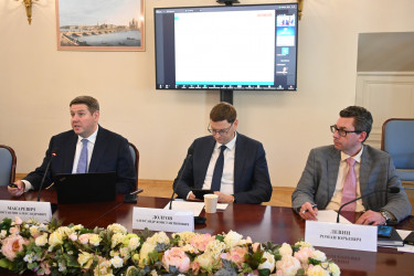 Заседание круглого стола «Цифровая трансформация и проекты государственно-частного партнерства в сфере информационных технологий в странах СНГ».