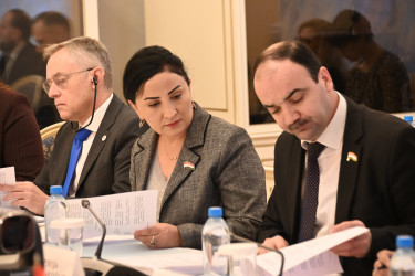 В Межпарламентской Ассамблее СНГ работают над актуализацией модельного закона об омбудсмене