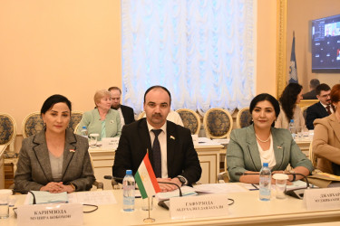 В Межпарламентской Ассамблее СНГ работают над актуализацией модельного закона об омбудсмене