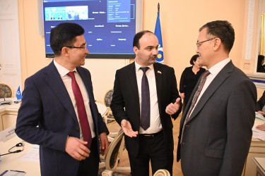 В Межпарламентской Ассамблее СНГ работают над актуализацией модельного закона об омбудсмене