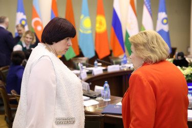 Парламентарии одобрили проект модельного закона «Об обеспечении государственной охраны объектов культурного наследия на водных объектах»