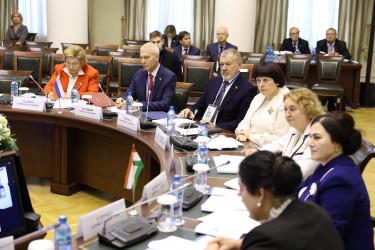 Парламентарии одобрили проект модельного закона «Об обеспечении государственной охраны объектов культурного наследия на водных объектах»