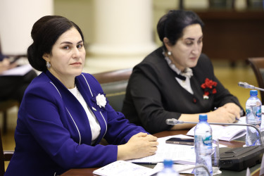 Парламентарии одобрили проект модельного закона «Об обеспечении государственной охраны объектов культурного наследия на водных объектах»