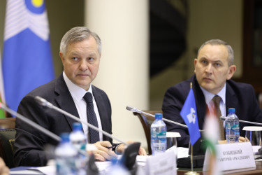 Парламентарии одобрили проект модельного закона «Об обеспечении государственной охраны объектов культурного наследия на водных объектах»