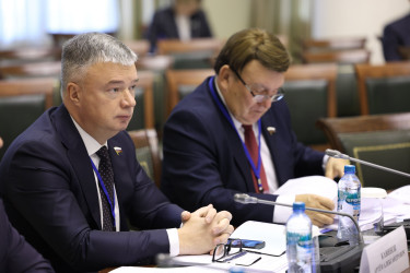 Парламентарии одобрили проект модельного закона «Об обеспечении государственной охраны объектов культурного наследия на водных объектах»