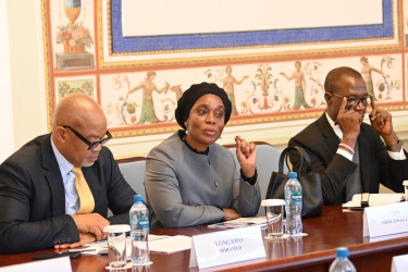 Встреча с делегацией Сьерра-Леоне Встреча с делегацией Сьерра-Леоне