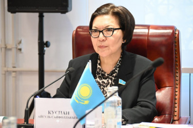 Заседание Постоянной комиссии Межпарламентской Ассамблеи СНГ по политическим вопросам и международному сотрудничеству