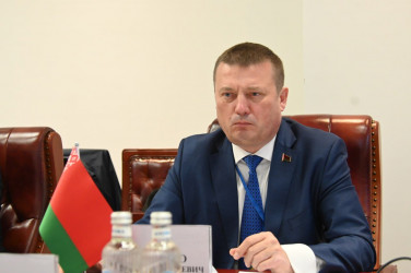 Заседание Постоянной комиссии Межпарламентской Ассамблеи СНГ по политическим вопросам и международному сотрудничеству