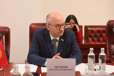 Заседание Постоянной комиссии Межпарламентской Ассамблеи СНГ по политическим вопросам и международному сотрудничеству