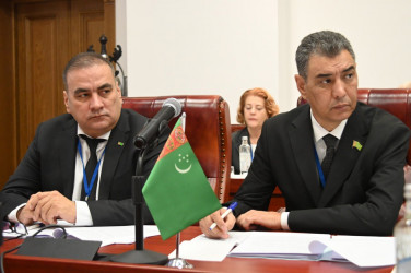 Заседание Постоянной комиссии Межпарламентской Ассамблеи СНГ по политическим вопросам и международному сотрудничеству