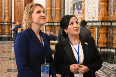 Главы парламентов СНГ наметили ключевые направления совместной работы 