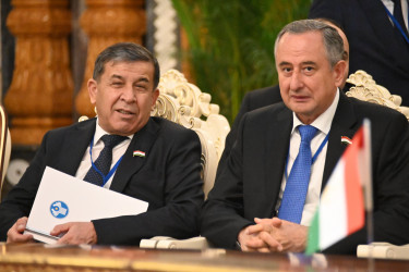 Главы парламентов СНГ наметили ключевые направления совместной работы 