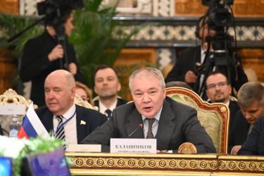 Главы парламентов СНГ наметили ключевые направления совместной работы 