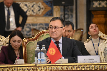 Главы парламентов СНГ наметили ключевые направления совместной работы 