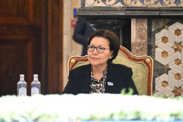 Главы парламентов СНГ наметили ключевые направления совместной работы 