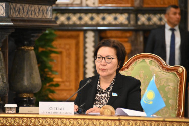 Главы парламентов СНГ наметили ключевые направления совместной работы 