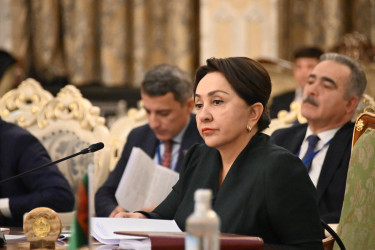 Главы парламентов СНГ наметили ключевые направления совместной работы 