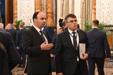 Главы парламентов СНГ наметили ключевые направления совместной работы 