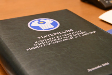 59-е пленарное заседание МПА СНГ