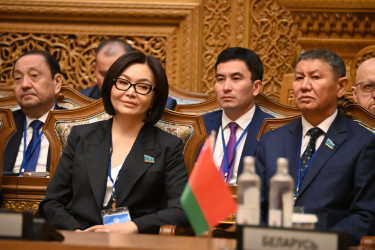 59-е пленарное заседание МПА СНГ