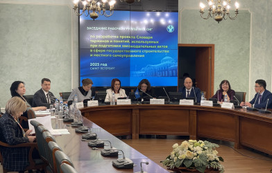 Заседание рабочей группы. 20 ноября 2025