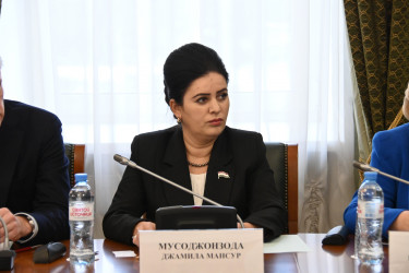 Экспертный совет по культуре. 21 ноября 2025