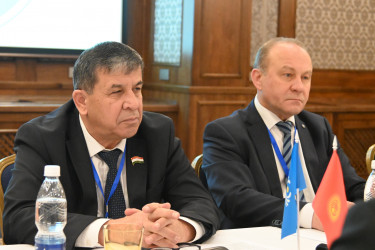 28.11_Встреча международных наблюдателей от МПА СНГ с руководством «Молодежного движения Кыргызстана»