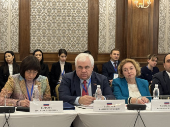 Установочное совещание наблюдателей. 29 ноября 2025