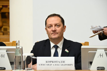 Общая память ради будущего: в Санкт-Петербурге прошла конференция, посвященная 80-летию Победы в Великой Отечественной войне