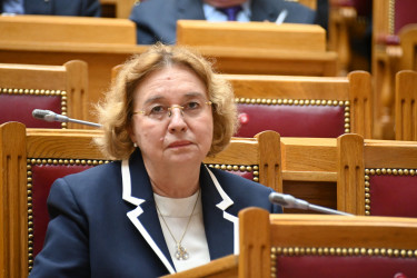 Общая память ради будущего: в Санкт-Петербурге прошла конференция, посвященная 80-летию Победы в Великой Отечественной войне