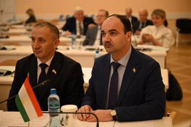 В СНГ готовятся к проведению Года охраны здоровья в Содружестве Независимых Государств