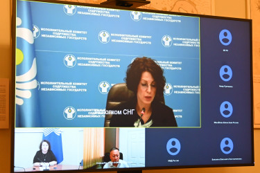 Эксперты согласовали проект соглашения о сотрудничестве в вопросах медстрахования трудящихся-мигрантов 