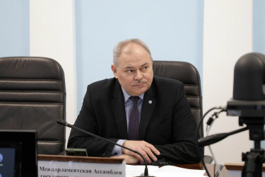 заседание экспертной группы по согласованию проекта Плана приоритетных мероприятий в сфере гуманитарного сотрудничества стран СНГ